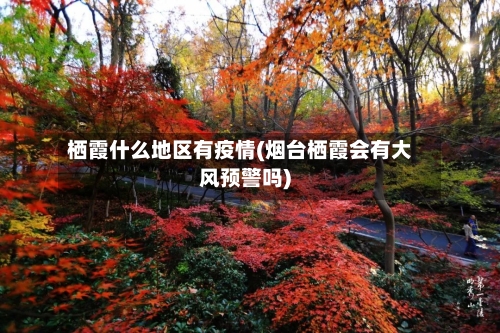 栖霞什么地区有疫情(烟台栖霞会有大风预警吗)-第2张图片