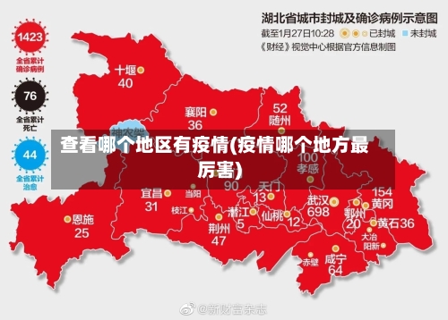查看哪个地区有疫情(疫情哪个地方最厉害)