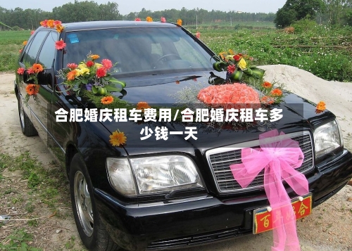 合肥婚庆租车费用/合肥婚庆租车多少钱一天