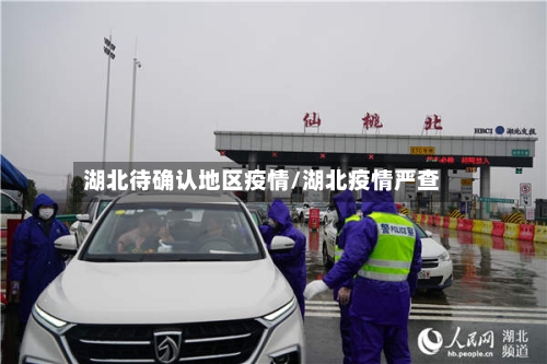 湖北待确认地区疫情/湖北疫情严查-第2张图片