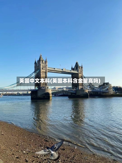 英国中文本科(英国本科含金量高吗)-第3张图片