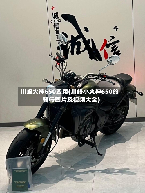 川崎火神650费用(川崎小火神650的骑行图片及视频大全)-第3张图片