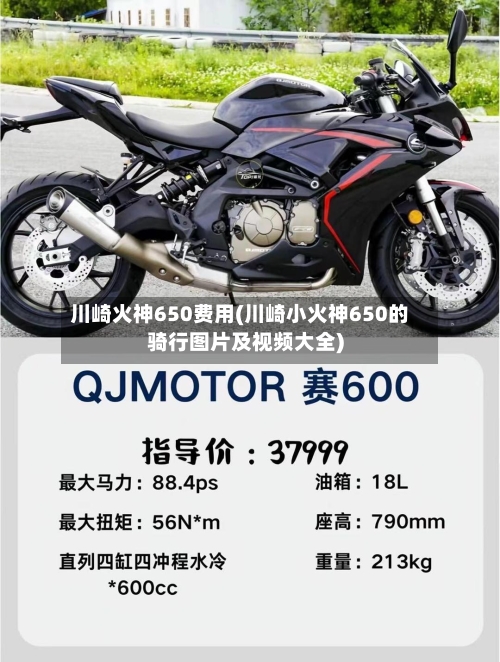 川崎火神650费用(川崎小火神650的骑行图片及视频大全)