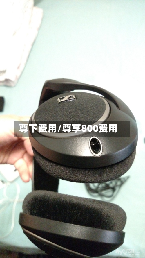 尊下费用/尊享800费用-第3张图片