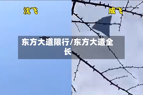 东方大道限行/东方大道全长-第3张图片