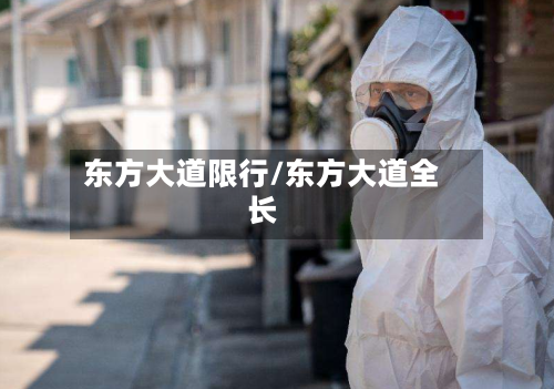 东方大道限行/东方大道全长-第2张图片