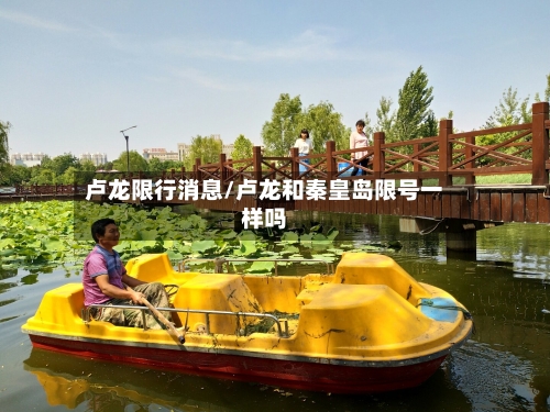 卢龙限行消息/卢龙和秦皇岛限号一样吗