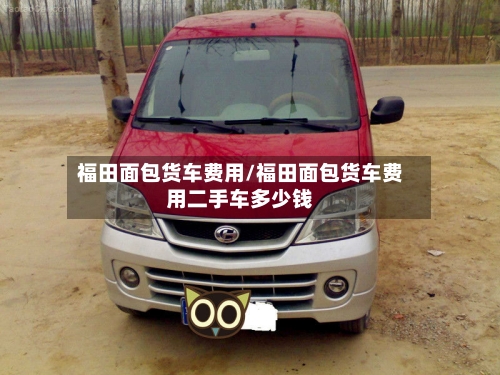 福田面包货车费用/福田面包货车费用二手车多少钱-第3张图片