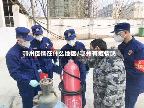 鄂州疫情在什么地区/鄂州有疫情吗-第2张图片
