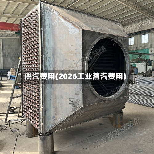 供汽费用(2026工业蒸汽费用)-第2张图片
