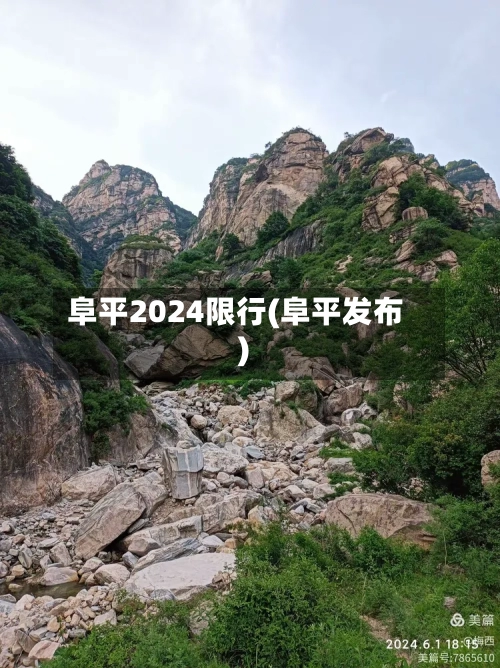 阜平2024限行(阜平发布)-第2张图片