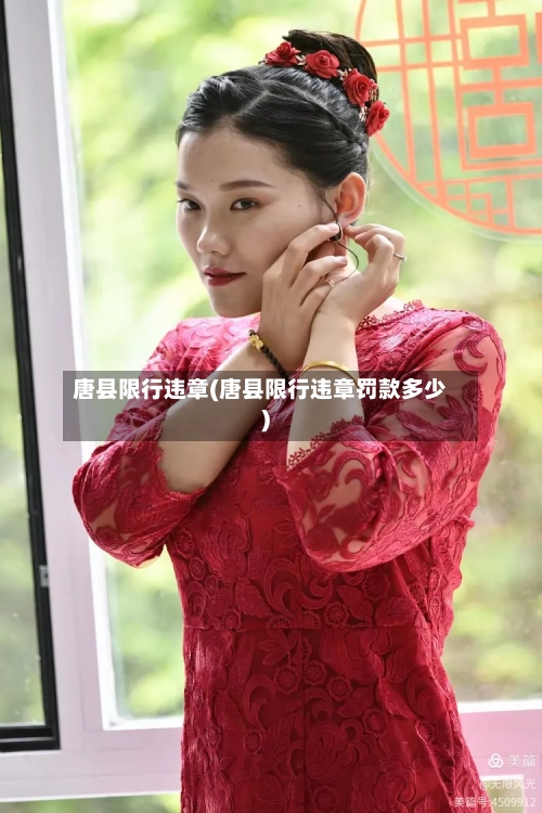 唐县限行违章(唐县限行违章罚款多少)