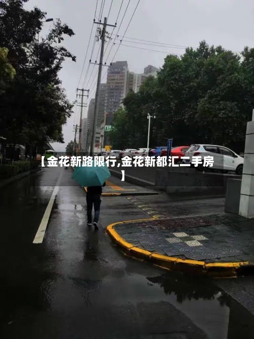 【金花新路限行,金花新都汇二手房】-第2张图片