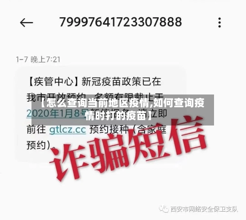 【怎么查询当前地区疫情,如何查询疫情时打的疫苗】