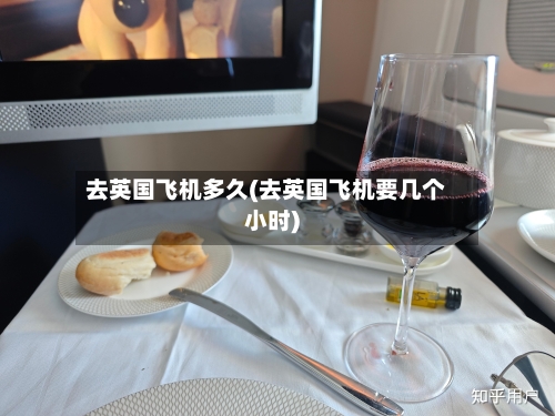去英国飞机多久(去英国飞机要几个小时)-第3张图片