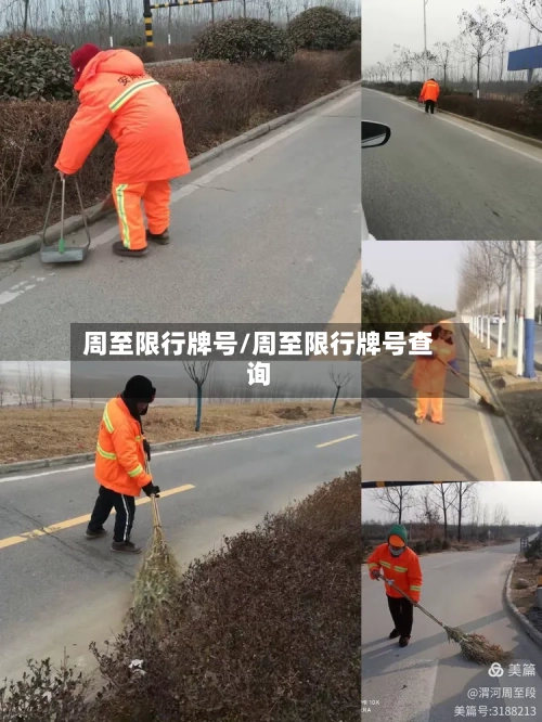 周至限行牌号/周至限行牌号查询