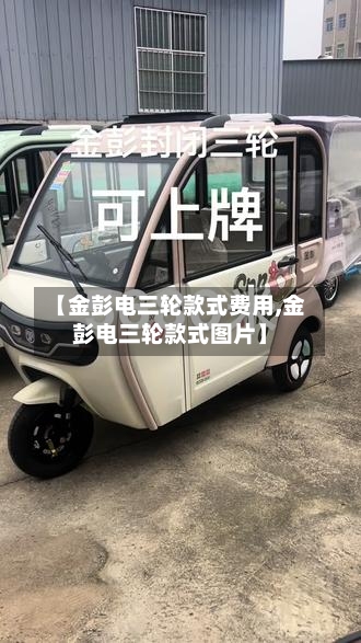 【金彭电三轮款式费用,金彭电三轮款式图片】-第2张图片