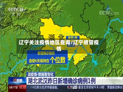 辽宁关注疫情地区查询/辽宁感冒疫情