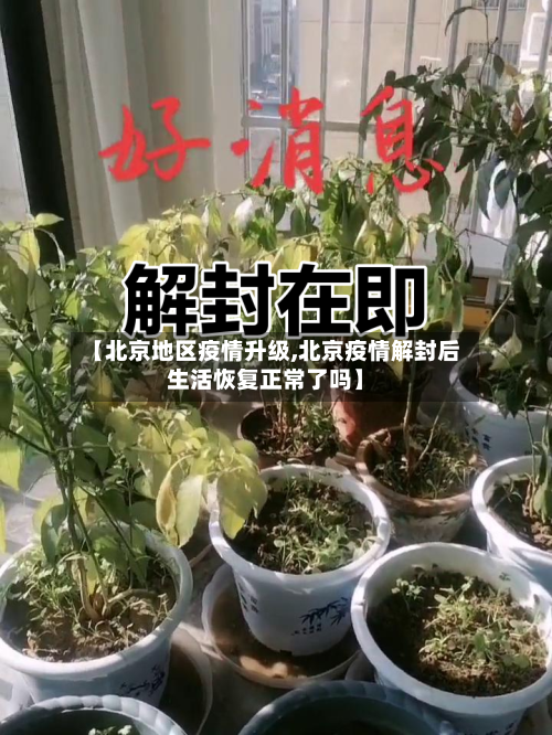 【北京地区疫情升级,北京疫情解封后生活恢复正常了吗】