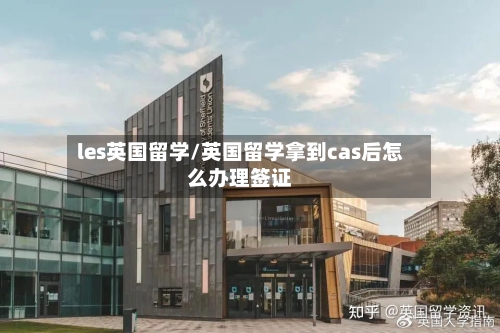 les英国留学/英国留学拿到cas后怎么办理签证-第2张图片