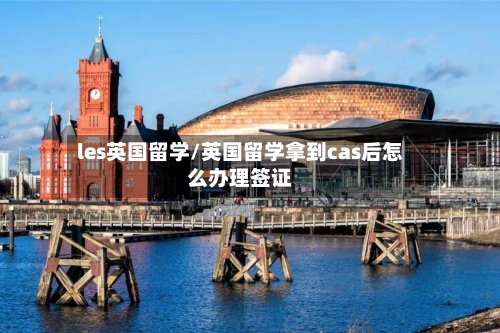 les英国留学/英国留学拿到cas后怎么办理签证