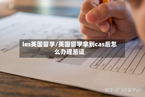 les英国留学/英国留学拿到cas后怎么办理签证-第3张图片