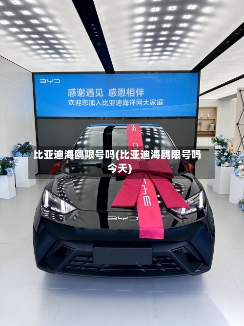 比亚迪海鸥限号吗(比亚迪海鸥限号吗今天)