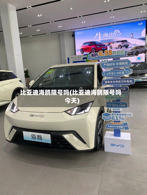 比亚迪海鸥限号吗(比亚迪海鸥限号吗今天)-第2张图片