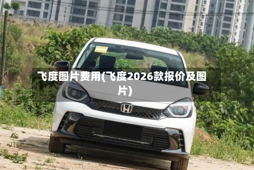 飞度图片费用(飞度2026款报价及图片)