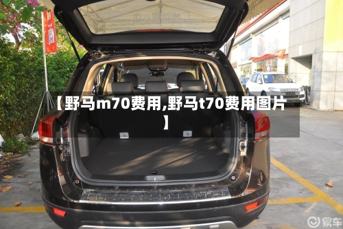 【野马m70费用,野马t70费用图片】-第3张图片