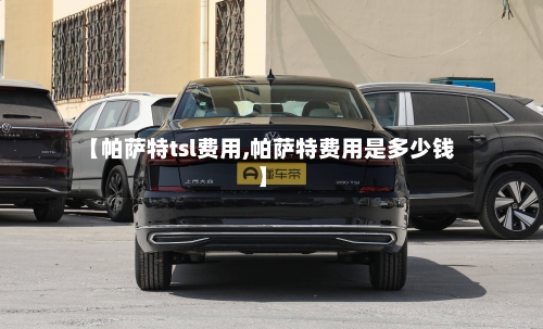 【帕萨特tsl费用,帕萨特费用是多少钱】-第2张图片