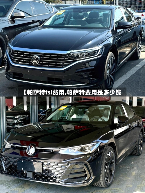 【帕萨特tsl费用,帕萨特费用是多少钱】