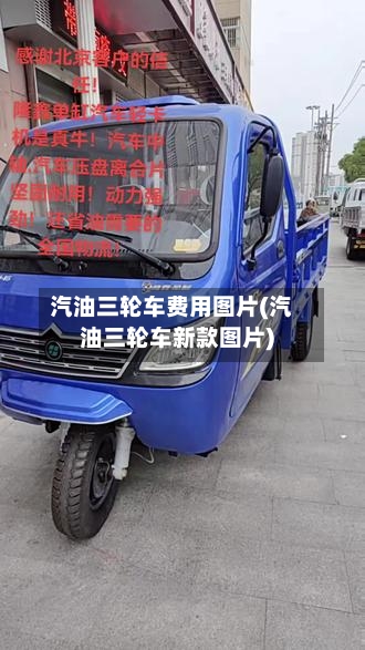 汽油三轮车费用图片(汽油三轮车新款图片)