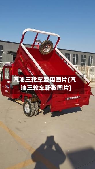 汽油三轮车费用图片(汽油三轮车新款图片)-第3张图片