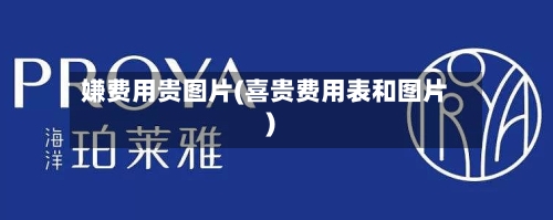 嫌费用贵图片(喜贵费用表和图片)-第3张图片