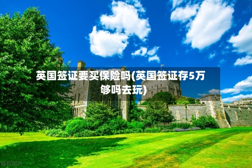 英国签证要买保险吗(英国签证存5万够吗去玩)