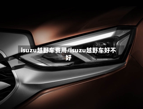 isuzu越野车费用/isuzu越野车好不好