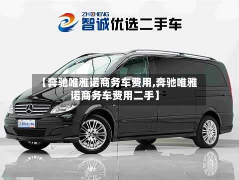 【奔驰唯雅诺商务车费用,奔驰唯雅诺商务车费用二手】-第2张图片