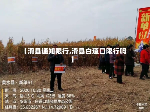 【滑县通知限行,滑县白道口限行吗】-第2张图片