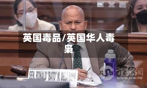 英国毒品/英国华人毒枭