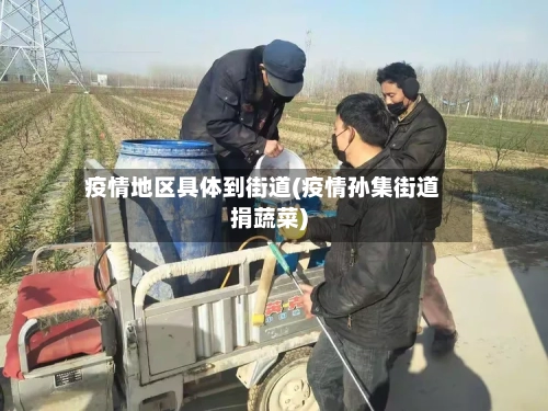 疫情地区具体到街道(疫情孙集街道捐蔬菜)