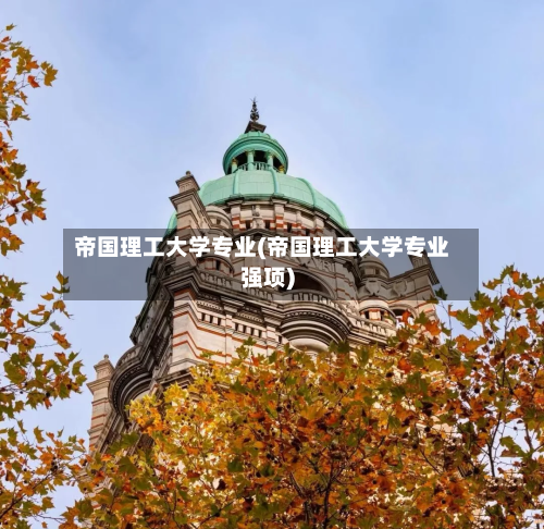 帝国理工大学专业(帝国理工大学专业强项)