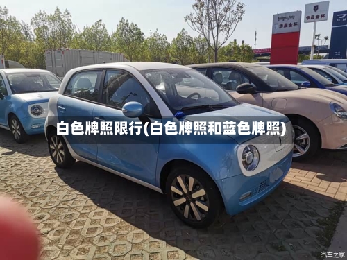 白色牌照限行(白色牌照和蓝色牌照)-第3张图片