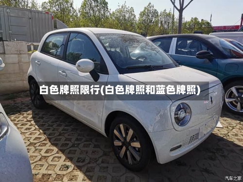 白色牌照限行(白色牌照和蓝色牌照)-第2张图片