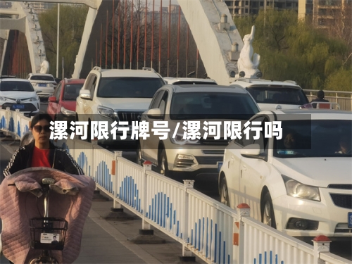 漯河限行牌号/漯河限行吗-第3张图片