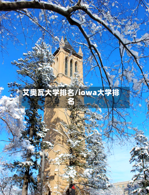 艾奥瓦大学排名/iowa大学排名