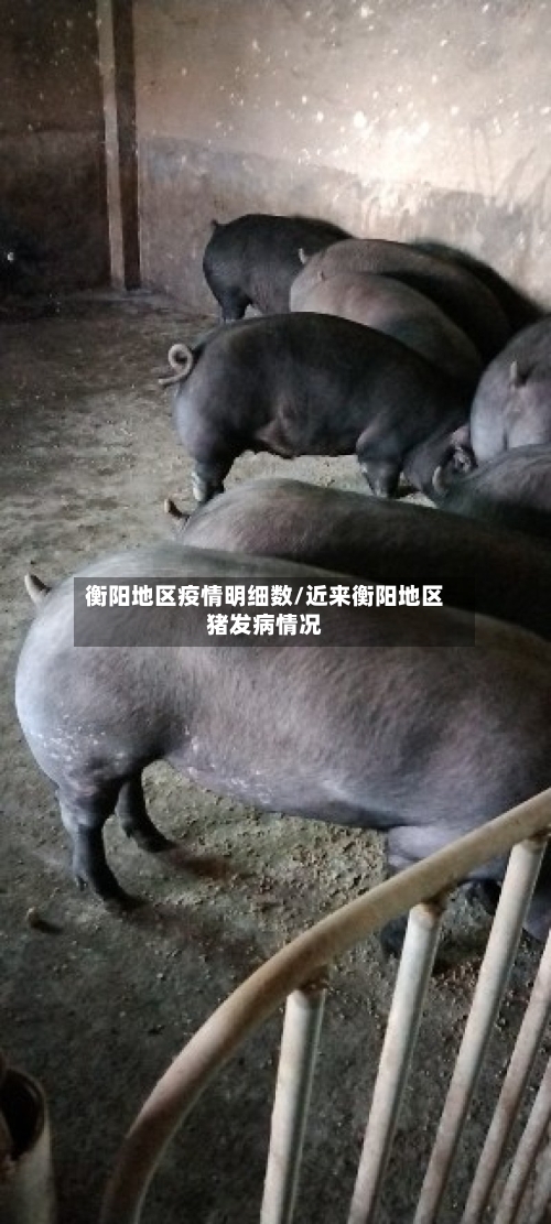 衡阳地区疫情明细数/近来衡阳地区猪发病情况-第2张图片