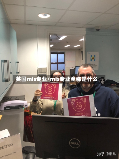 英国mis专业/mis专业全称是什么-第3张图片