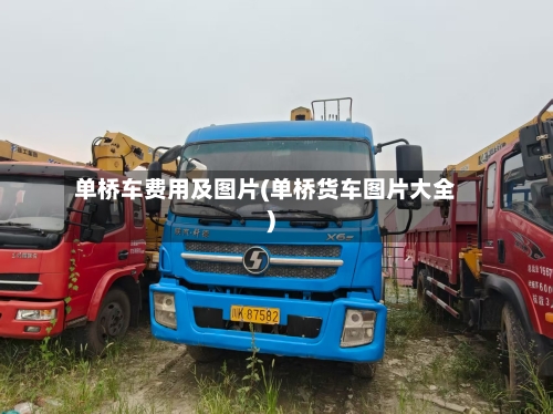 单桥车费用及图片(单桥货车图片大全)