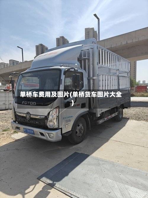 单桥车费用及图片(单桥货车图片大全)-第2张图片